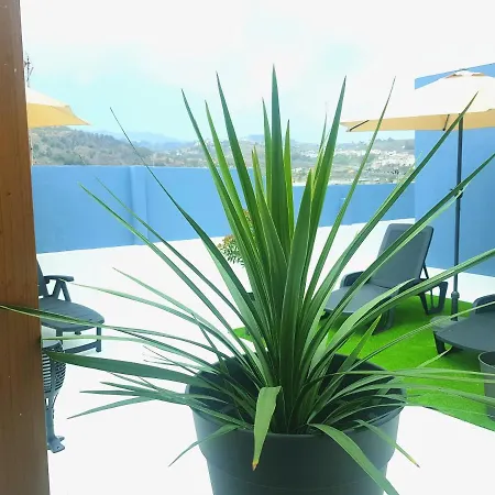 Сasa de vacaciones Casa La Dama De *