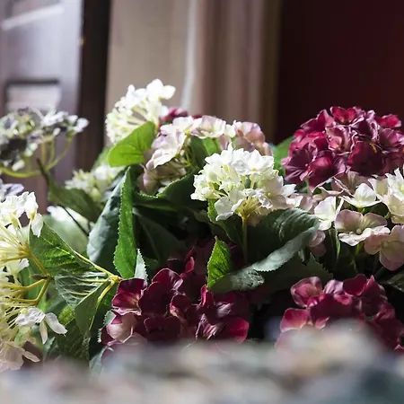 Casa La Dama De * Arucas